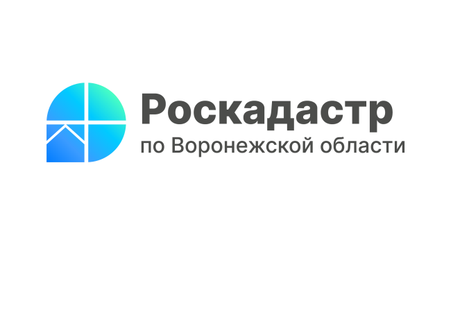 Почти 3 тысячи объектов культурного наследия Воронежской области внесено в ЕГРН.